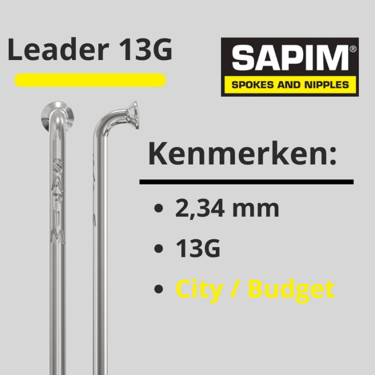 Spokes 13G INOX silver