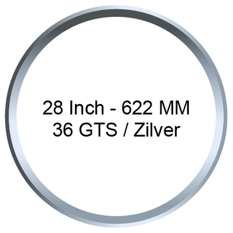28 Inch - 622 MM / 36GTS / Zilver
