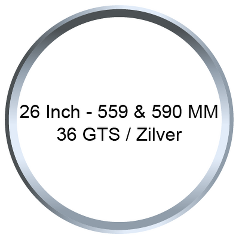 26 Inch - 559 MM & 590 MM / 36GTS / Zilver
