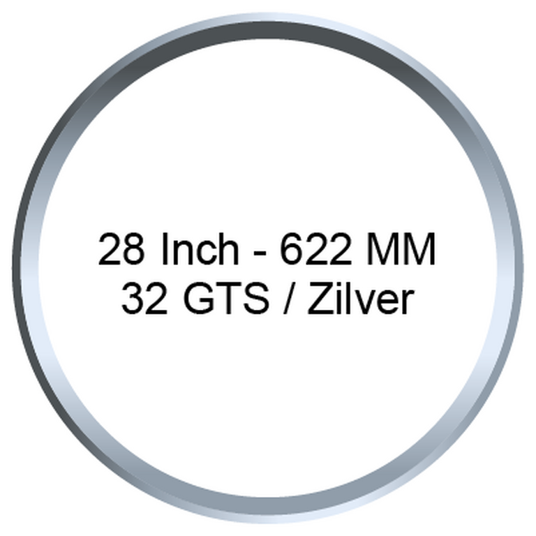 28 Inch - 622 MM / 32GTS / Zilver